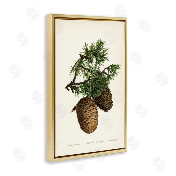 Stupell Industries Tina Higgins Designs Inc. | Cedar Tree Pinecones