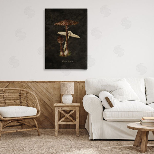 Stupell Industries Tina Higgins Designs Inc. | Dark Woodland Mushroom Wall Art