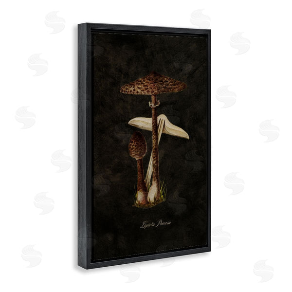 Stupell Industries Tina Higgins Designs Inc. | Dark Woodland Mushroom Wall Art