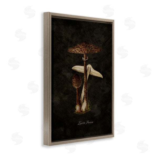 Stupell Industries Tina Higgins Designs Inc. | Dark Woodland Mushroom Wall Art