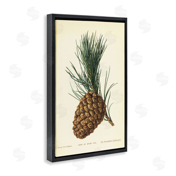 Stupell Industries Tina Higgins Designs Inc. | Detailed Pine Cone Sprig