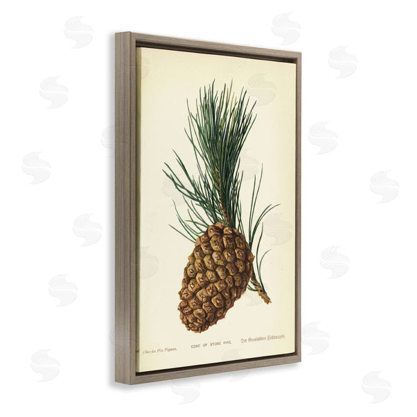 Stupell Industries Tina Higgins Designs Inc. | Detailed Pine Cone Sprig