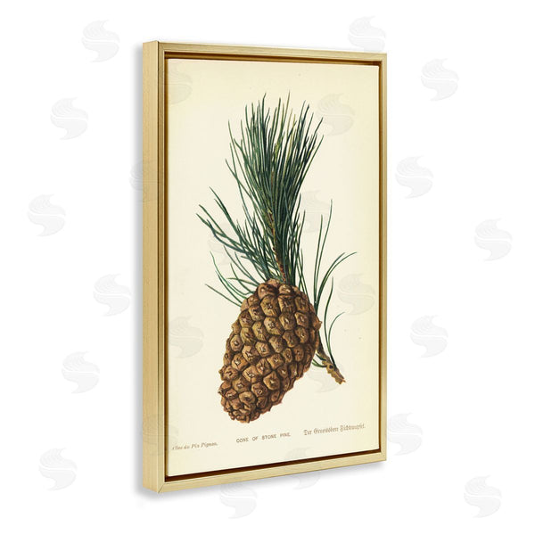 Stupell Industries Tina Higgins Designs Inc. | Detailed Pine Cone Sprig