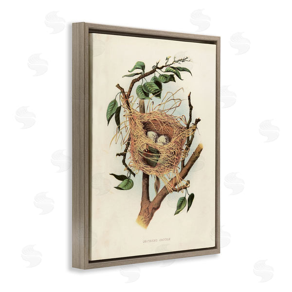 Stupell Industries Tina Higgins Designs Inc. | Eggs In Birdnest Study