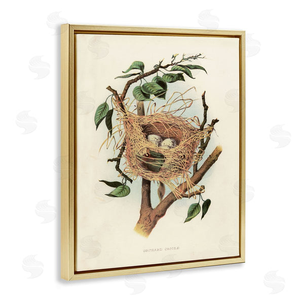 Stupell Industries Tina Higgins Designs Inc. | Eggs In Birdnest Study