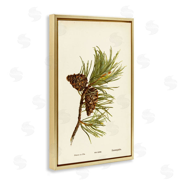 Stupell Industries Tina Higgins Designs Inc. | Fir Tree Cones
