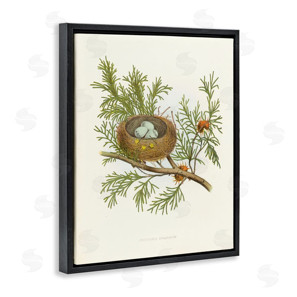 Stupell Industries Tina Higgins Designs Inc. | Forest Bird Nest On Branch