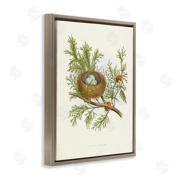 Stupell Industries Tina Higgins Designs Inc. | Forest Bird Nest On Branch