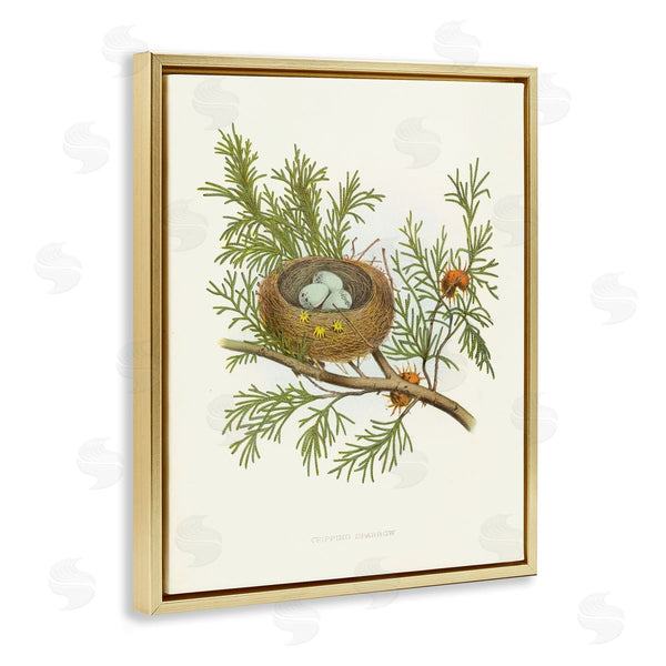 Stupell Industries Tina Higgins Designs Inc. | Forest Bird Nest On Branch