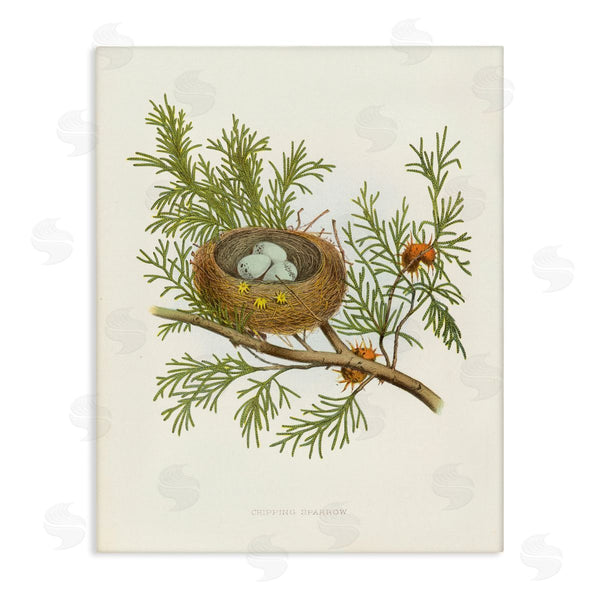 stupell industries Tina Higgins Designs Inc. | Forest Bird Nest on Branch