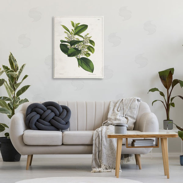 Stupell Industries Tina Higgins Designs Inc. | Forest Nature Botanical Wall Art