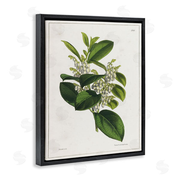 Stupell Industries Tina Higgins Designs Inc. | Forest Nature Botanical Wall Art