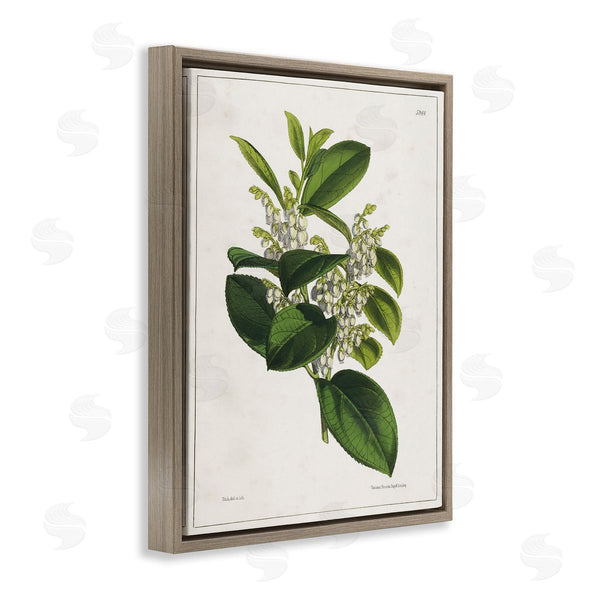 Stupell Industries Tina Higgins Designs Inc. | Forest Nature Botanical Wall Art