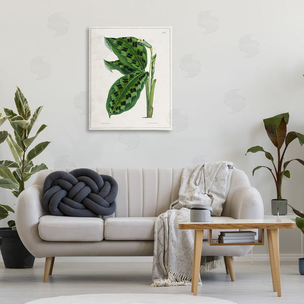 Stupell Industries Tina Higgins Designs Inc. | Lush Plant Leaf Study Wall Art