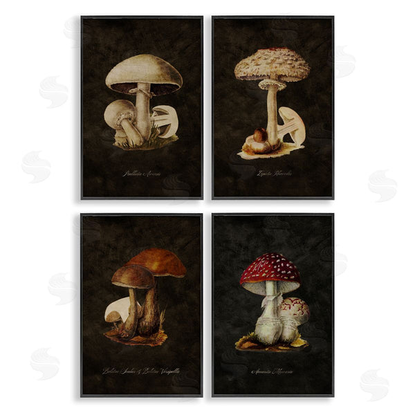 Stupell Industries Tina Higgins Designs Inc. | Mushroom Genus Studies Wall Art