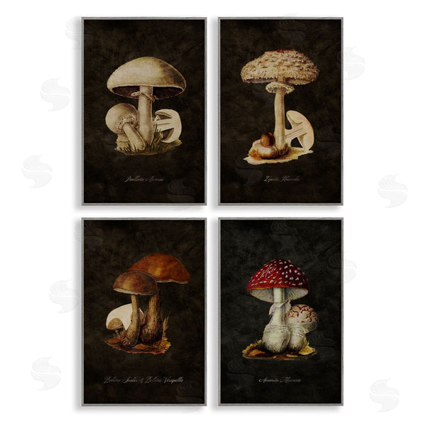 Stupell Industries Tina Higgins Designs Inc. | Mushroom Genus Studies Wall Art
