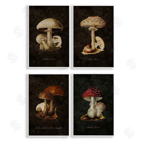 Stupell Industries Tina Higgins Designs Inc. | Mushroom Genus Studies Wall Art