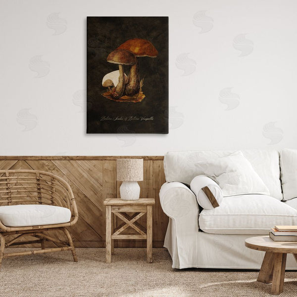 Stupell Industries Tina Higgins Designs Inc. | Mushroom Types Study Wall Art