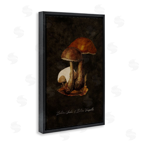 Stupell Industries Tina Higgins Designs Inc. | Mushroom Types Study Wall Art