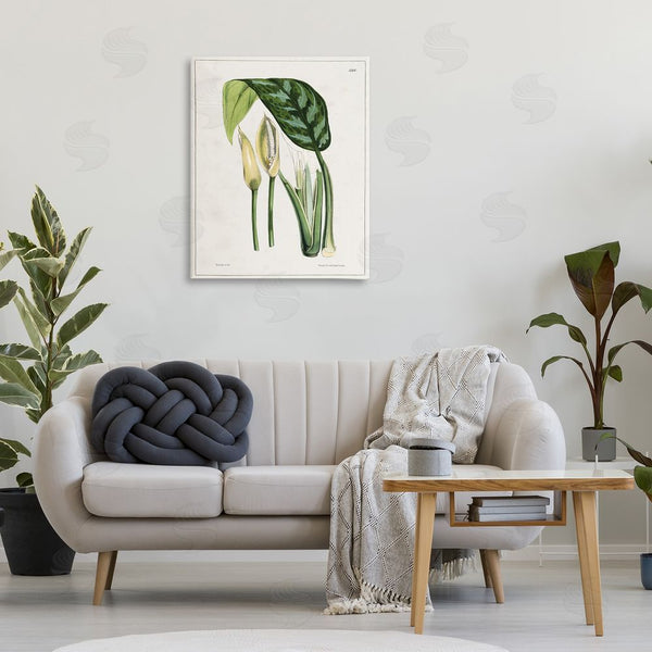 Stupell Industries Tina Higgins Designs Inc. | Pond Plant Study Wall Art