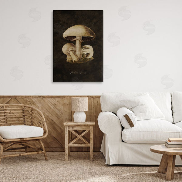 Stupell Industries Tina Higgins Designs Inc. | Portobello Mushroom Study Wall Art