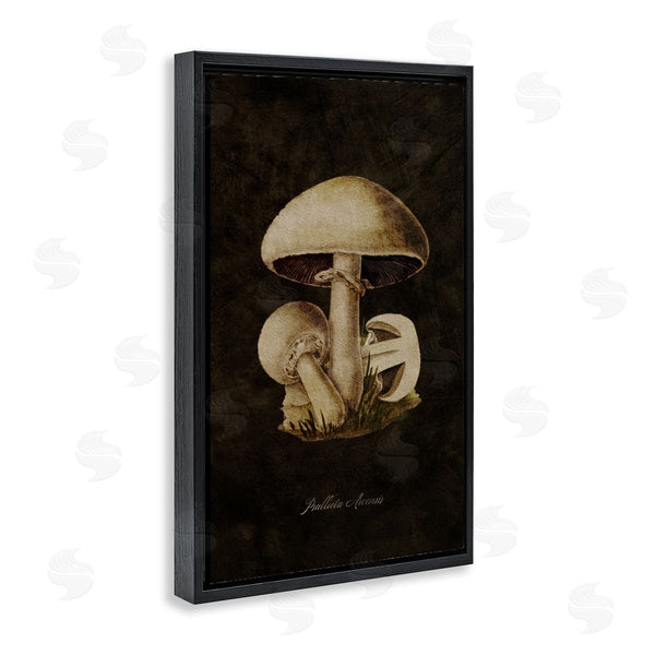 Stupell Industries Tina Higgins Designs Inc. | Portobello Mushroom Study Wall Art