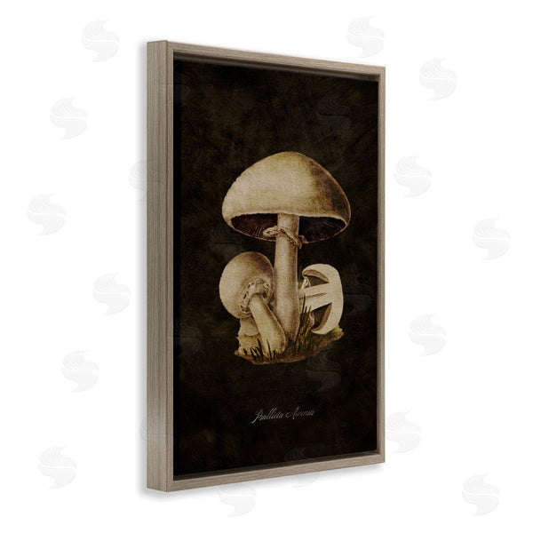 Stupell Industries Tina Higgins Designs Inc. | Portobello Mushroom Study Wall Art