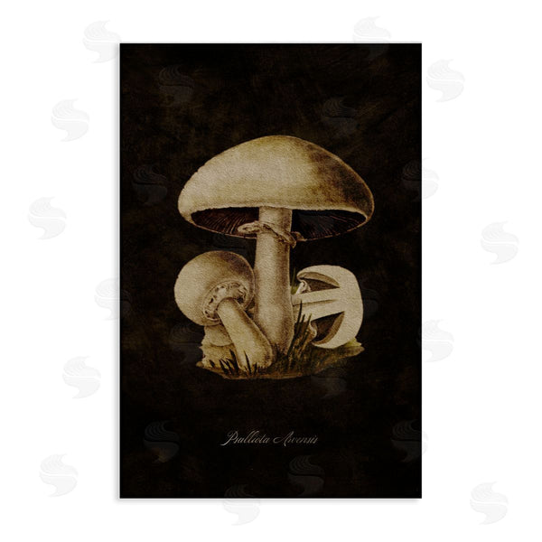 stupell industries Tina Higgins Designs Inc. | Portobello Mushroom Study Wall Art
