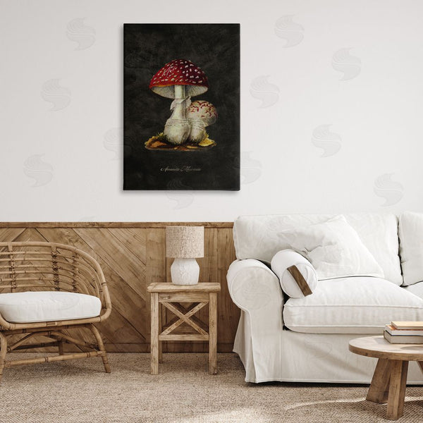 Stupell Industries Tina Higgins Designs Inc. | Rustic Mushroom Pair Wall Art