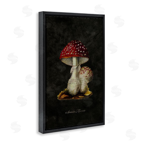 Stupell Industries Tina Higgins Designs Inc. | Rustic Mushroom Pair Wall Art