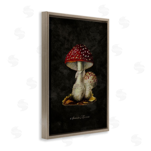 Stupell Industries Tina Higgins Designs Inc. | Rustic Mushroom Pair Wall Art