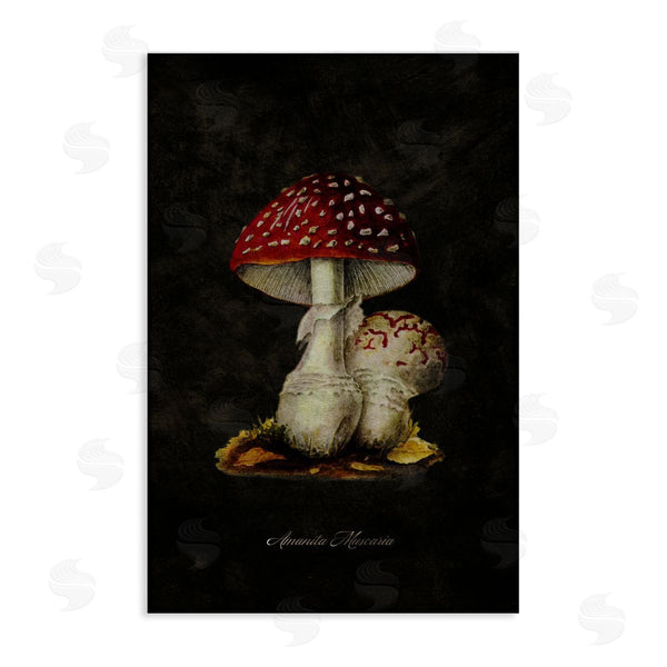 stupell industries Tina Higgins Designs Inc. | Rustic Mushroom Pair Wall Art