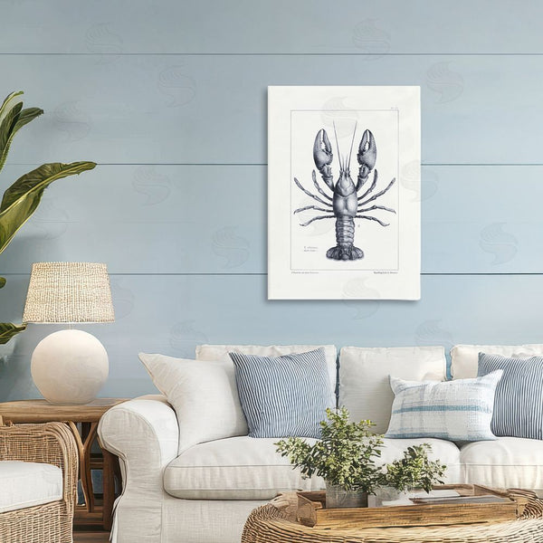 Stupell Industries Tina Higgins Designs Inc. | Scientific Lobster Specimen