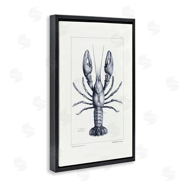 Stupell Industries Tina Higgins Designs Inc. | Scientific Lobster Specimen