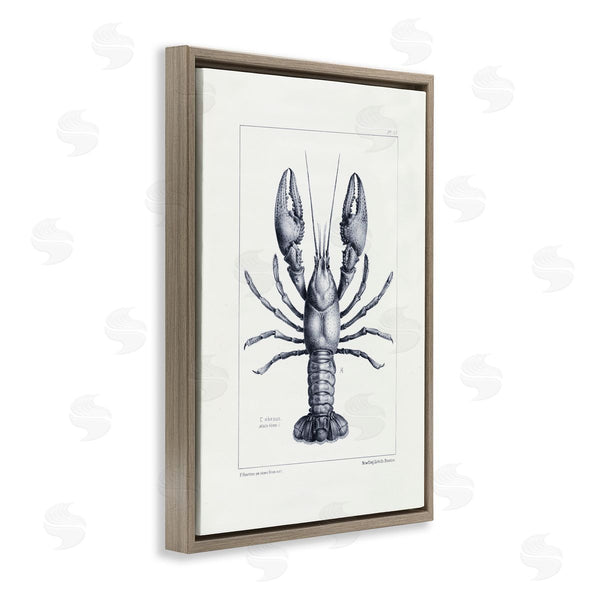 Stupell Industries Tina Higgins Designs Inc. | Scientific Lobster Specimen