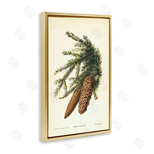 Stupell Industries Tina Higgins Designs Inc. | Spruce & Fir Cones
