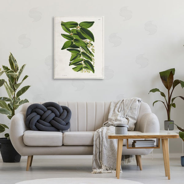Stupell Industries Tina Higgins Designs Inc. | Stacked Leaves Botanical Wall Art