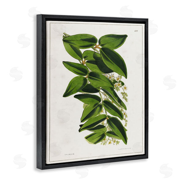 Stupell Industries Tina Higgins Designs Inc. | Stacked Leaves Botanical Wall Art