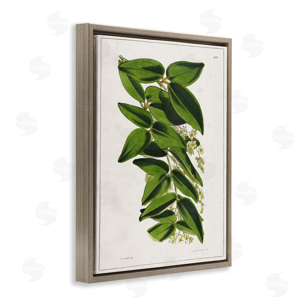 Stupell Industries Tina Higgins Designs Inc. | Stacked Leaves Botanical Wall Art