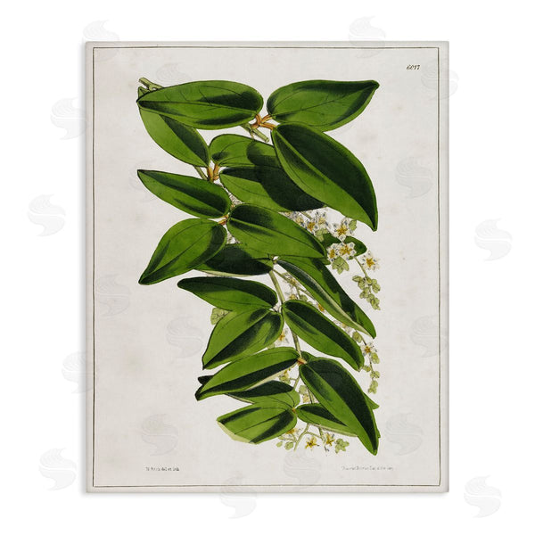 stupell industries Tina Higgins Designs Inc. | Stacked Leaves Botanical Wall Art