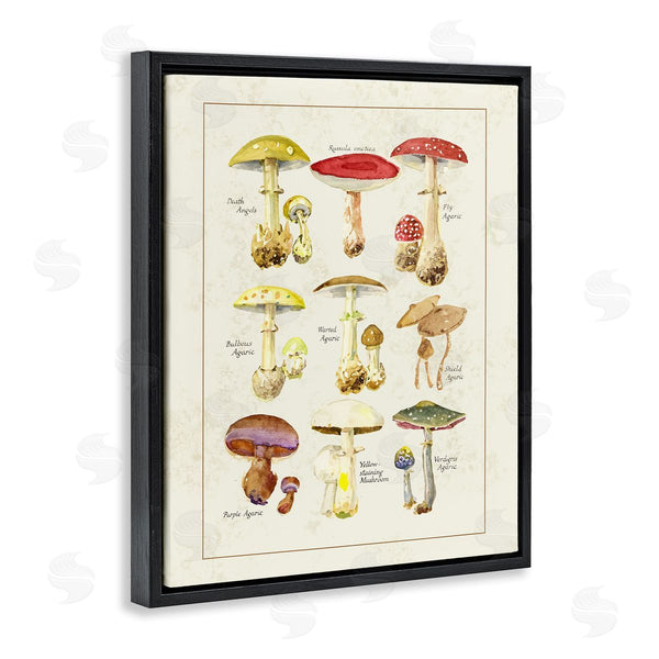 Stupell Industries Tina Higgins Designs Inc. | Various Mushroom Specimen