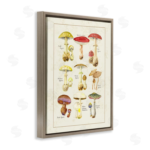 Stupell Industries Tina Higgins Designs Inc. | Various Mushroom Specimen