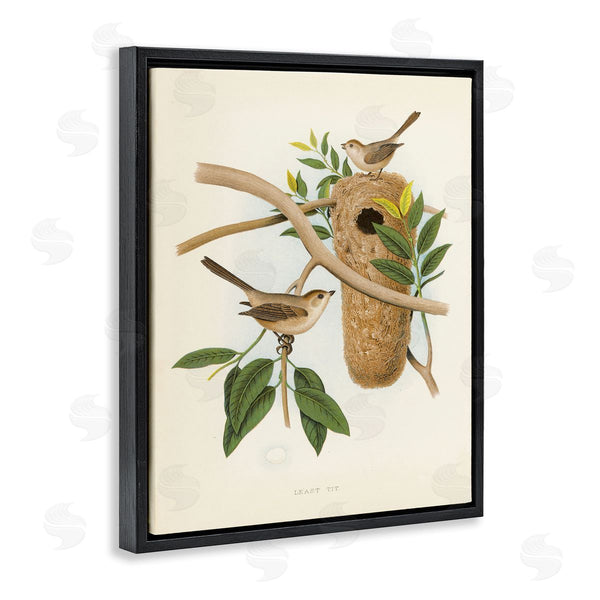 Stupell Industries Tina Higgins Designs Inc. | Vintage Bird House Study