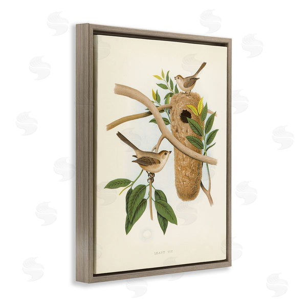 Stupell Industries Tina Higgins Designs Inc. | Vintage Bird House Study