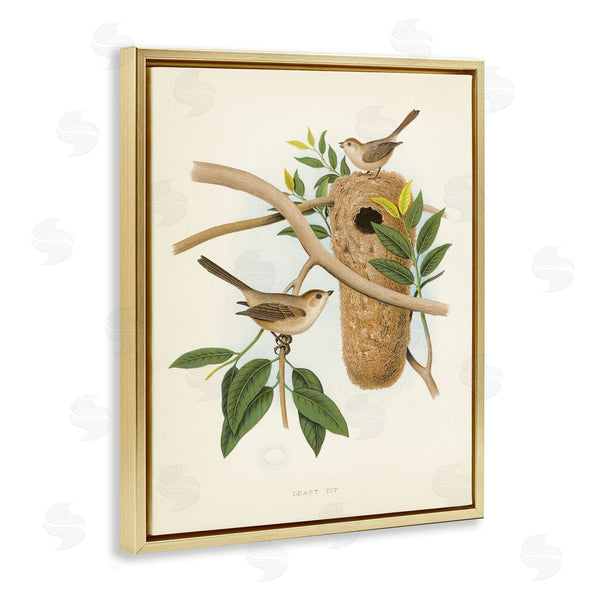 Stupell Industries Tina Higgins Designs Inc. | Vintage Bird House Study