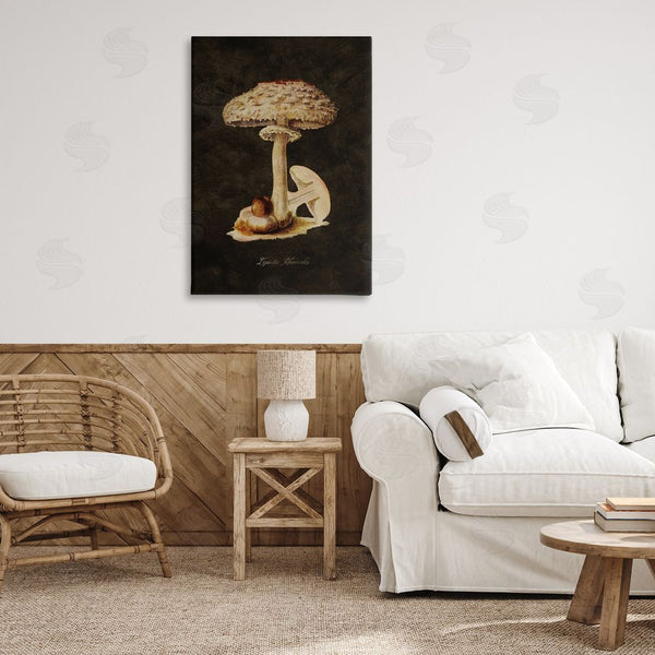 Stupell Industries Tina Higgins Designs Inc. | Vintage Mushroom Study Wall Art