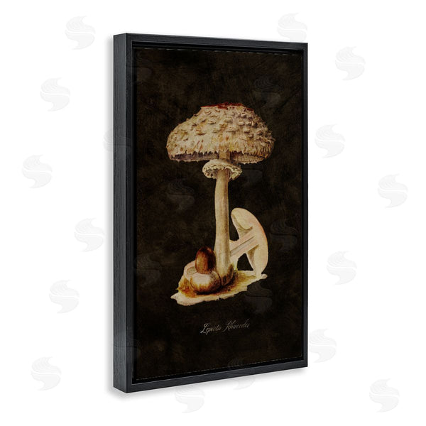 Stupell Industries Tina Higgins Designs Inc. | Vintage Mushroom Study Wall Art