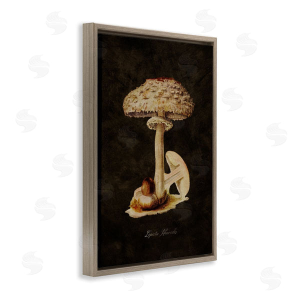 Stupell Industries Tina Higgins Designs Inc. | Vintage Mushroom Study Wall Art