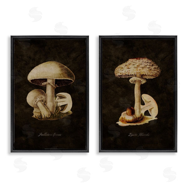 Stupell Industries Tina Higgins Designs Inc. | Vintage Mushrooms On Black