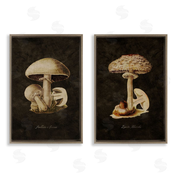 Stupell Industries Tina Higgins Designs Inc. | Vintage Mushrooms On Black
